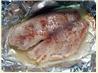 Tilapia for Dummies!
