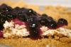 Lemon Blueberry Pizza. Recipe by Abby Girl