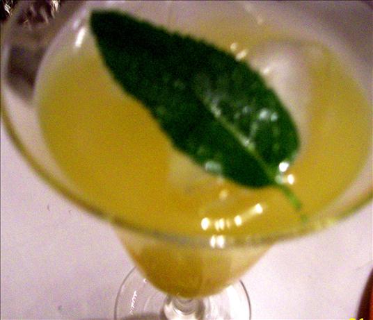 Mango Tango Iced Green Tea. Photo by Marlitt