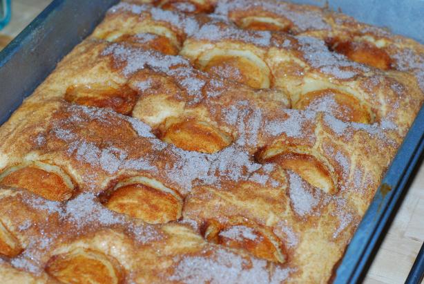 Apple Sugar Cake. Photo by Katzen