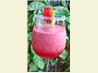 Watermelon Sensation Libation