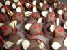 Chocolate Christmas Mice (Or Anytime Mice)