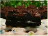 Wanda Bars (Double Chocolate Oreo Bars)