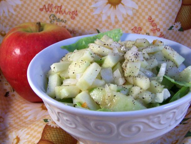 Appel Salade - Apple Salad. Photo by Rita~