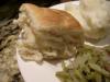 Norma's Quick Rolls