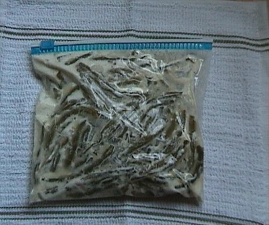 Frozen Corn or Green Beans. Photo by Jockey