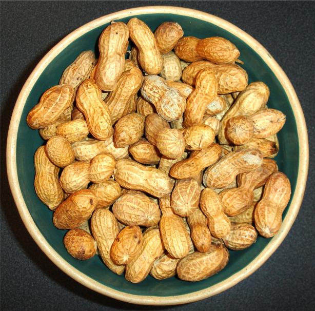 Basic Oven Roasted Peanuts. Photo by mammafishy