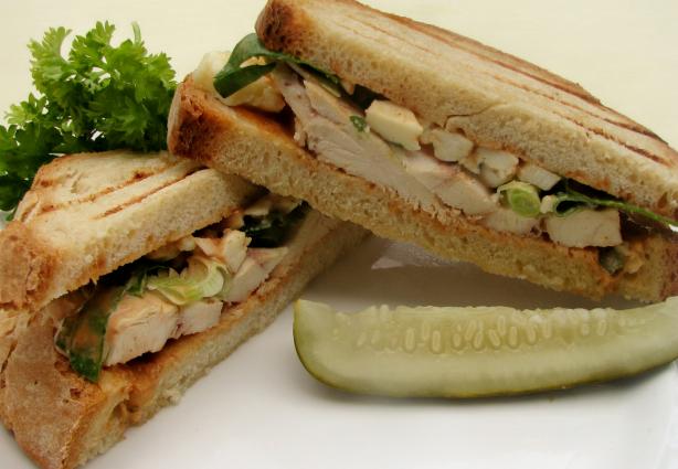 Buffalo  Chicken Panini. Photo by lazyme