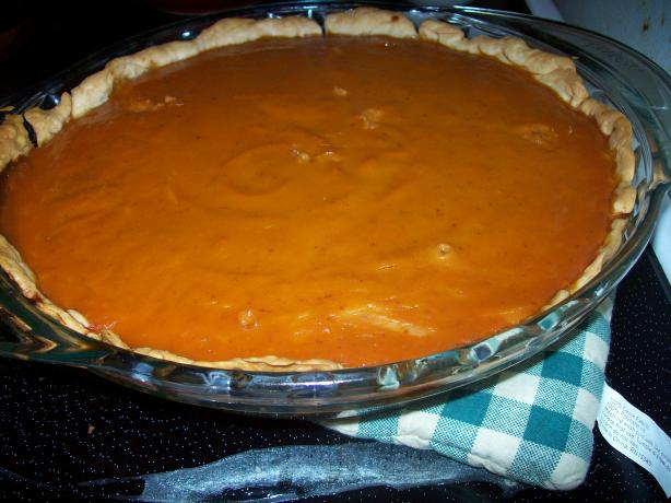 Good Ol' Pumpkin Pie. Photo by 4-H Mom
