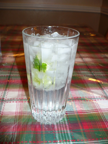 Vodka Tonic. Photo by Chef RZ Fan