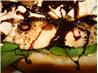 Balsamic-Glazed Chicken Sandwiches With Goat Cheese. Recipe by greksgirl