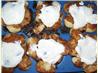 Mc Donald's&reg; Cinnamon Melts ( Copycat ). Recipe by Nikki Kate