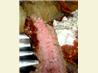 Mark Tewksbury's "Fire" Steak