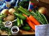 Greek Vegetable Bake