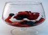 Luscious Amaretto Ricotta With Berries (Low Fat)