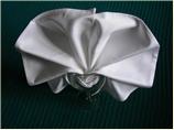 Serviette/ Napkin Folding, Set Into a Wine Glass