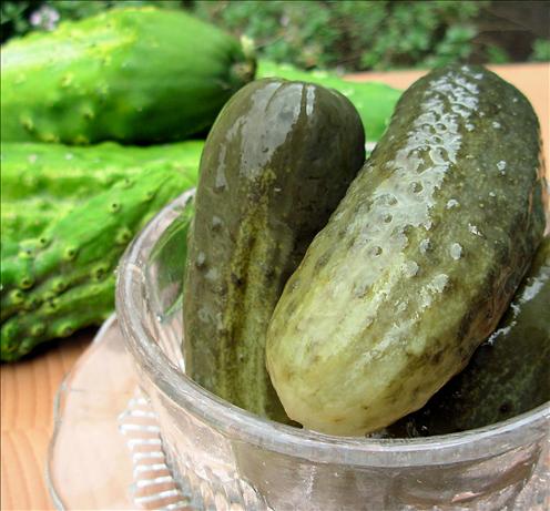 Sunshine Dill Pickles. Photo by French Tart