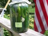 Sunshine Dill Pickles. Photo by Debber