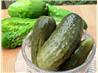 Sunshine Dill Pickles
