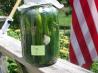 Sunshine Dill Pickles