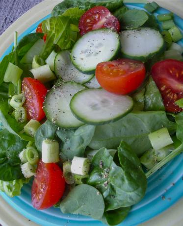 Simple Healthy Summer Salad, Green and Tossed. Photo by Cookgirl