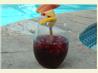 Red Wine Sangria. Recipe by Julie3551