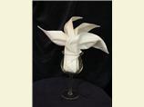 Serviette/Napkin Folding, Sydney Opera Fan in Wine Glass
