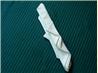Serviette/Napkin Folding, Sydney Opera Fan in Wine Glass