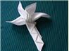 Serviette/Napkin Folding, Sydney Opera Fan in Wine Glass
