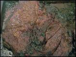 Captain's Steak Rub