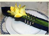 Serviette/Napkin Folding, Another Simple Band