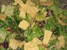 Mexican-Style Tortilla Salad