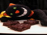 X-Tasy Made Guilt-Free