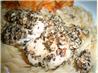 California Herb Grilled Chicken. Recipe by MPCook