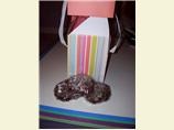 German Chocolate Lace Cookies