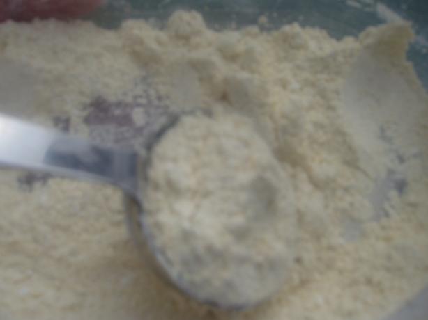 Dry Onion Soup Mix (Replacer). Photo by Bay Laurel