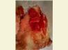 Baked Tilapia. Recipe by Lawsome