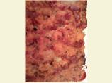 Turkey Meatloaf