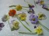 Candied Violets