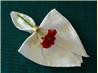 Serviette/Napkin Folding, Formal Version  Drop and Tie. Recipe by kiwidutch
