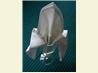 Serviette/Napkin Folding, Fleur De Lis in a Glass Version1.. Recipe by kiwidutch