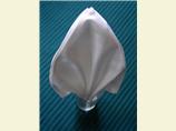 Serviette/Napkin Folding, Fleur De Lis in a Glass Version3