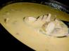 Chicken Enchilada Soup