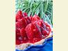 Fresh Strawberry Pie. Recipe by Bev