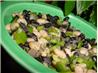 White & Black Bean Salad. Recipe by True Texas