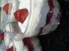 The Ultimate Strawberry Shortcake