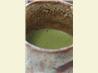 Preparing Matcha (Japanese Powdered Green Tea)