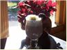 Peppermint Patty. Recipe by *Alia*