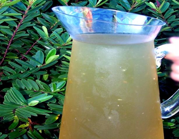 Easy Prep Vegetable Stock. Photo by **Jubes**