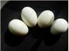 Hard-Boiled Eggs